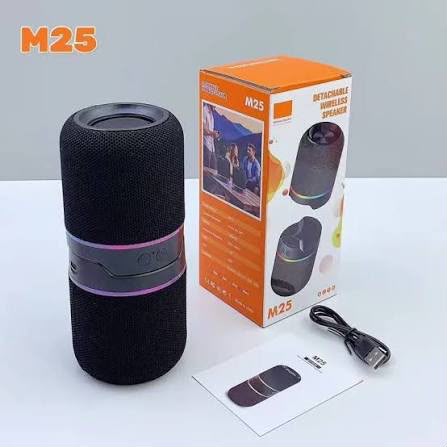 M25 Two-In-One Split Wireless DJ Speaker